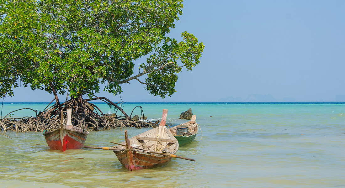 Boats. Photo: Colourbox