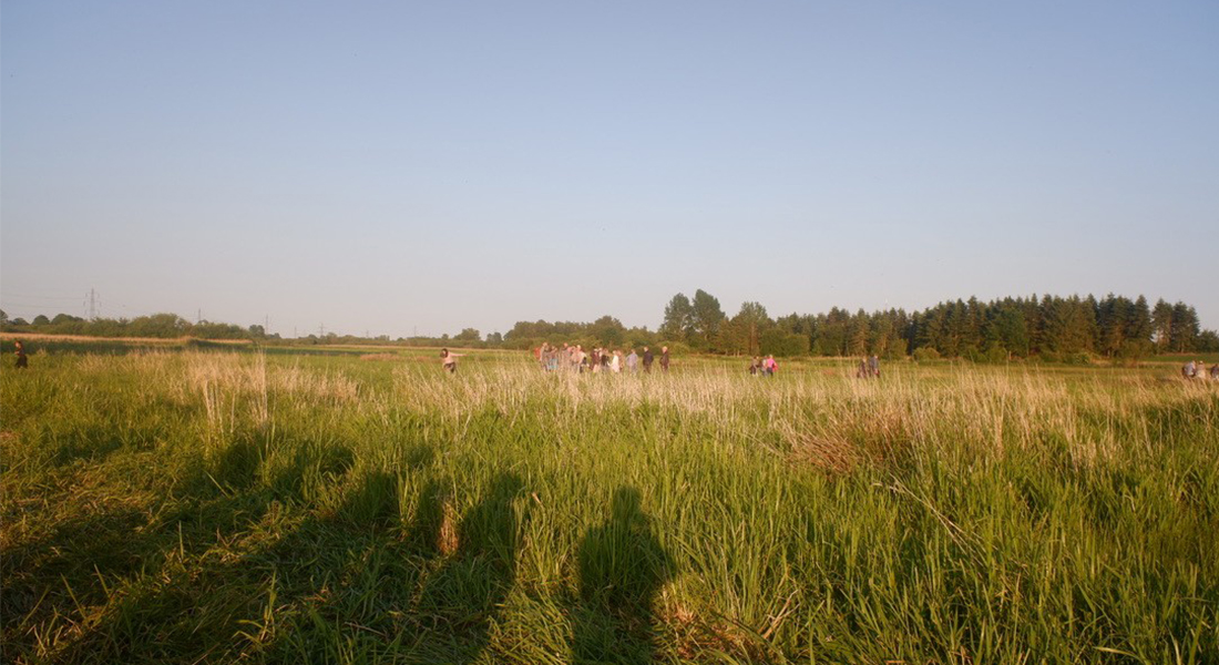 Field. Photo: Personal